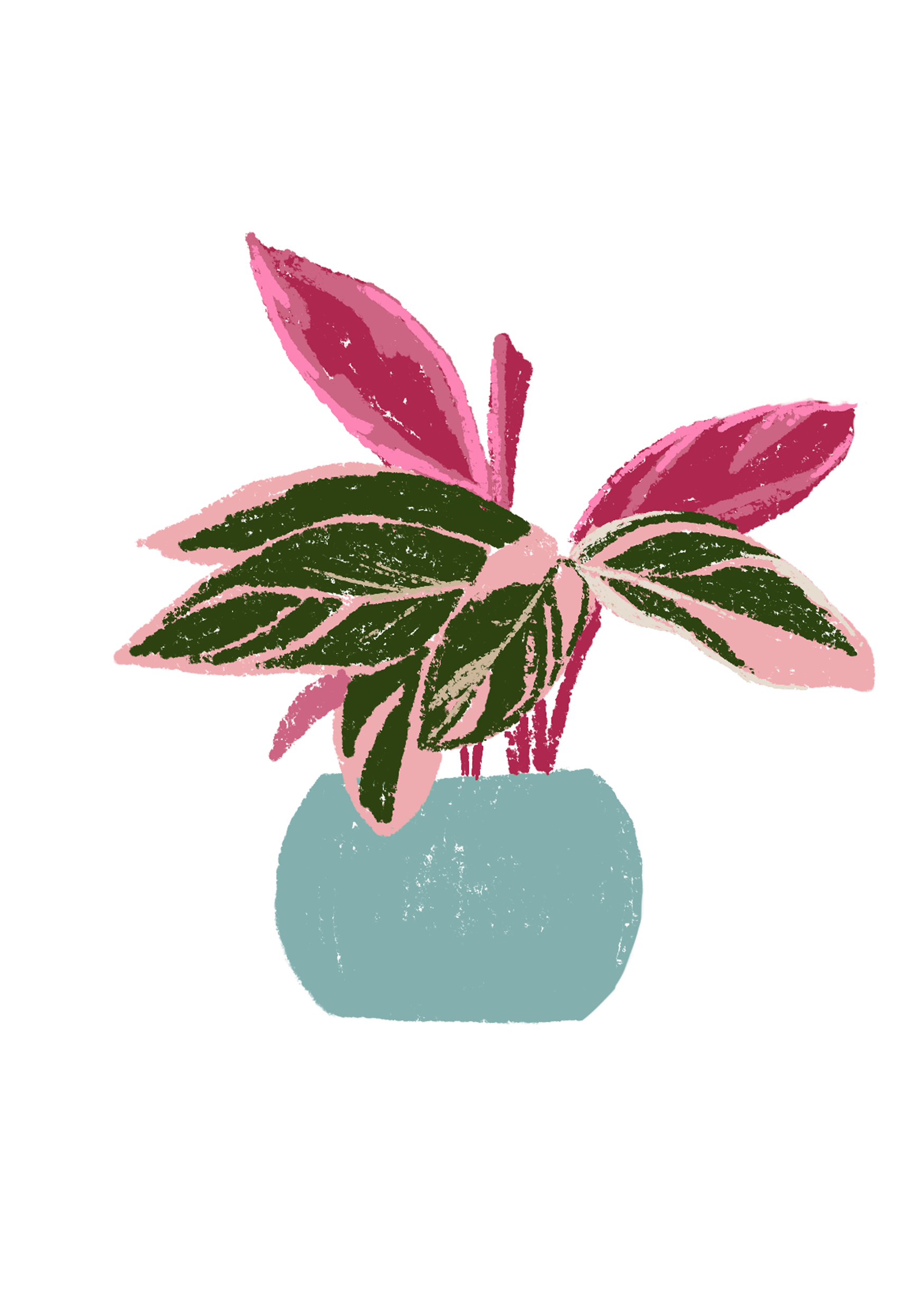 A5 plantas - Imagen 3