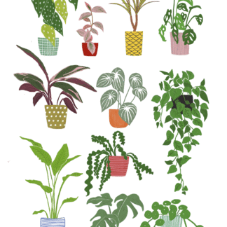 Ilustración "plant lover"