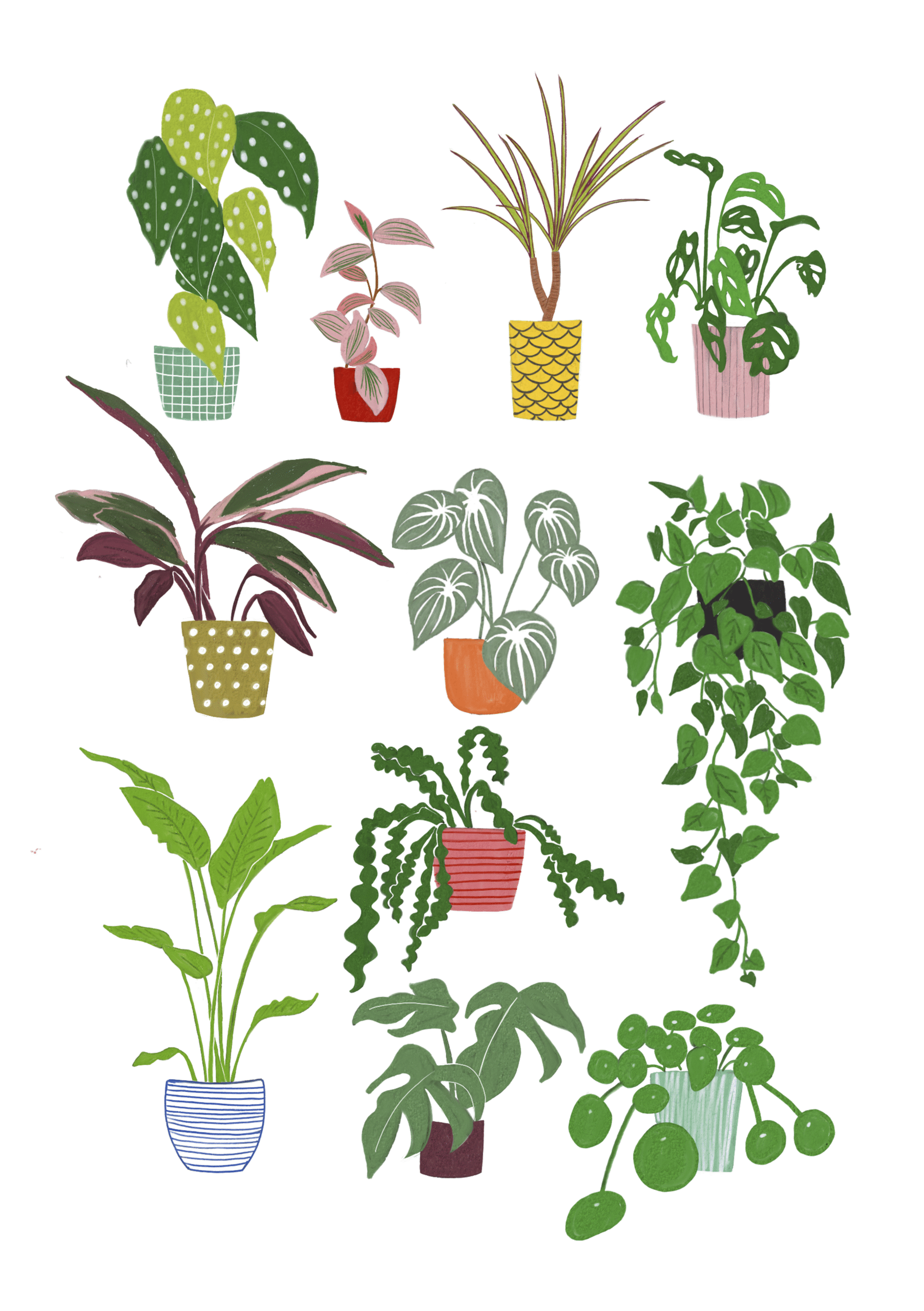 Ilustración "plant lover"