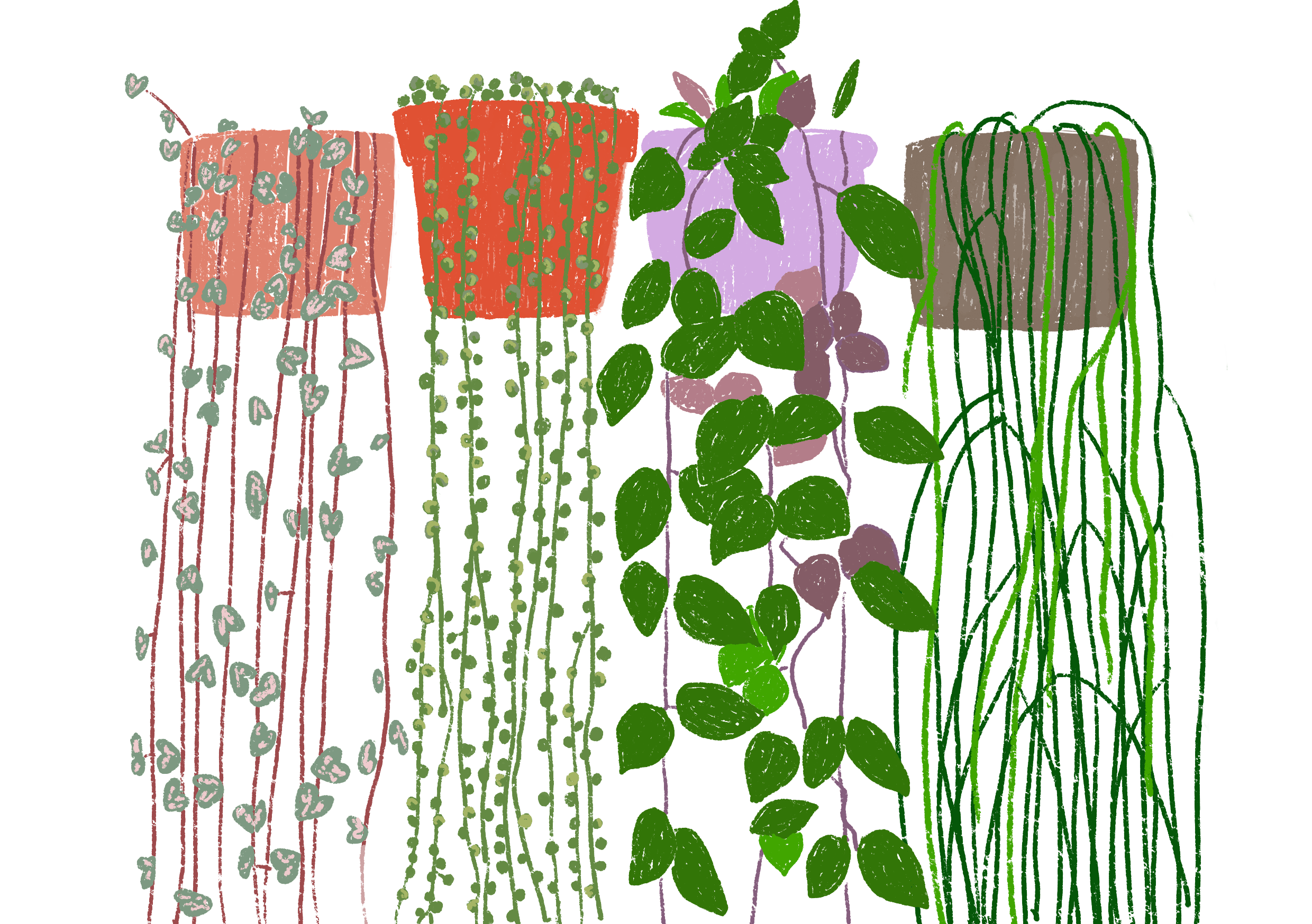 A5 plantas - Imagen 5