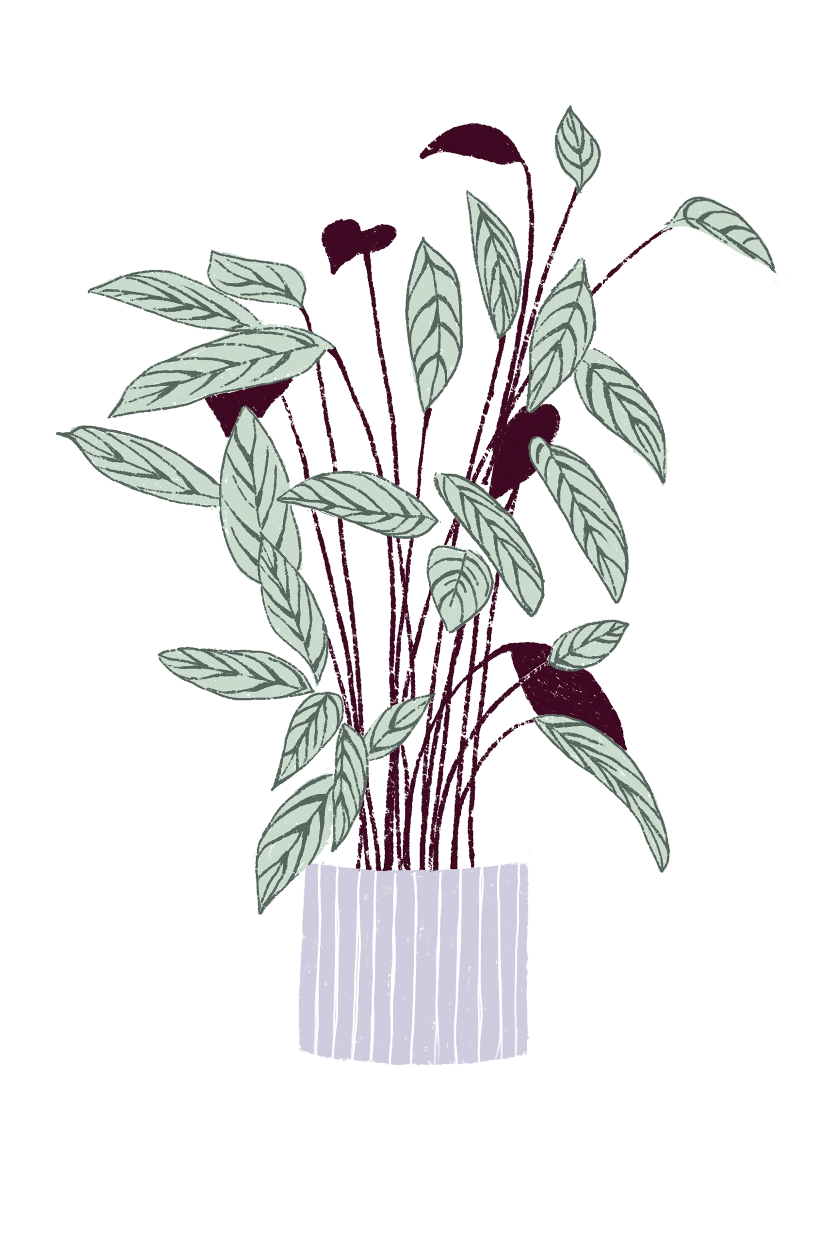 A6 plantas - Imagen 12
