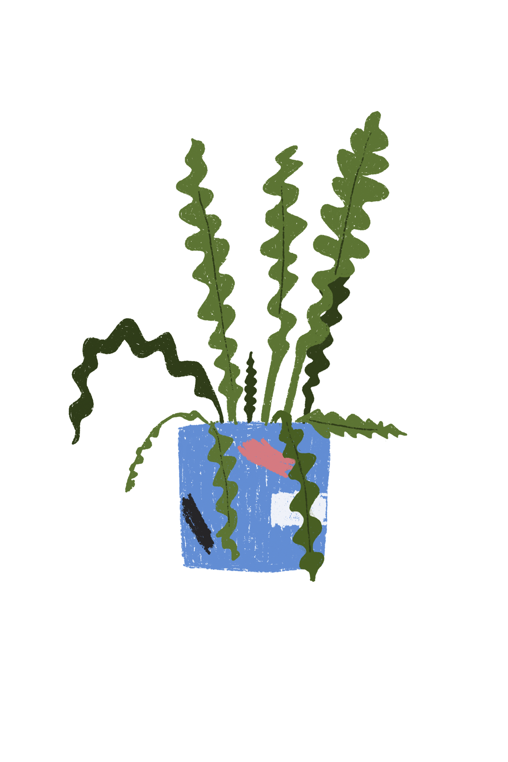 A5 plantas - Imagen 6