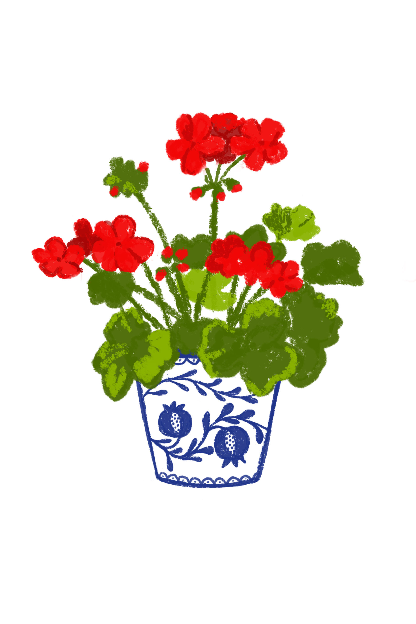 A6 plantas - Imagen 13