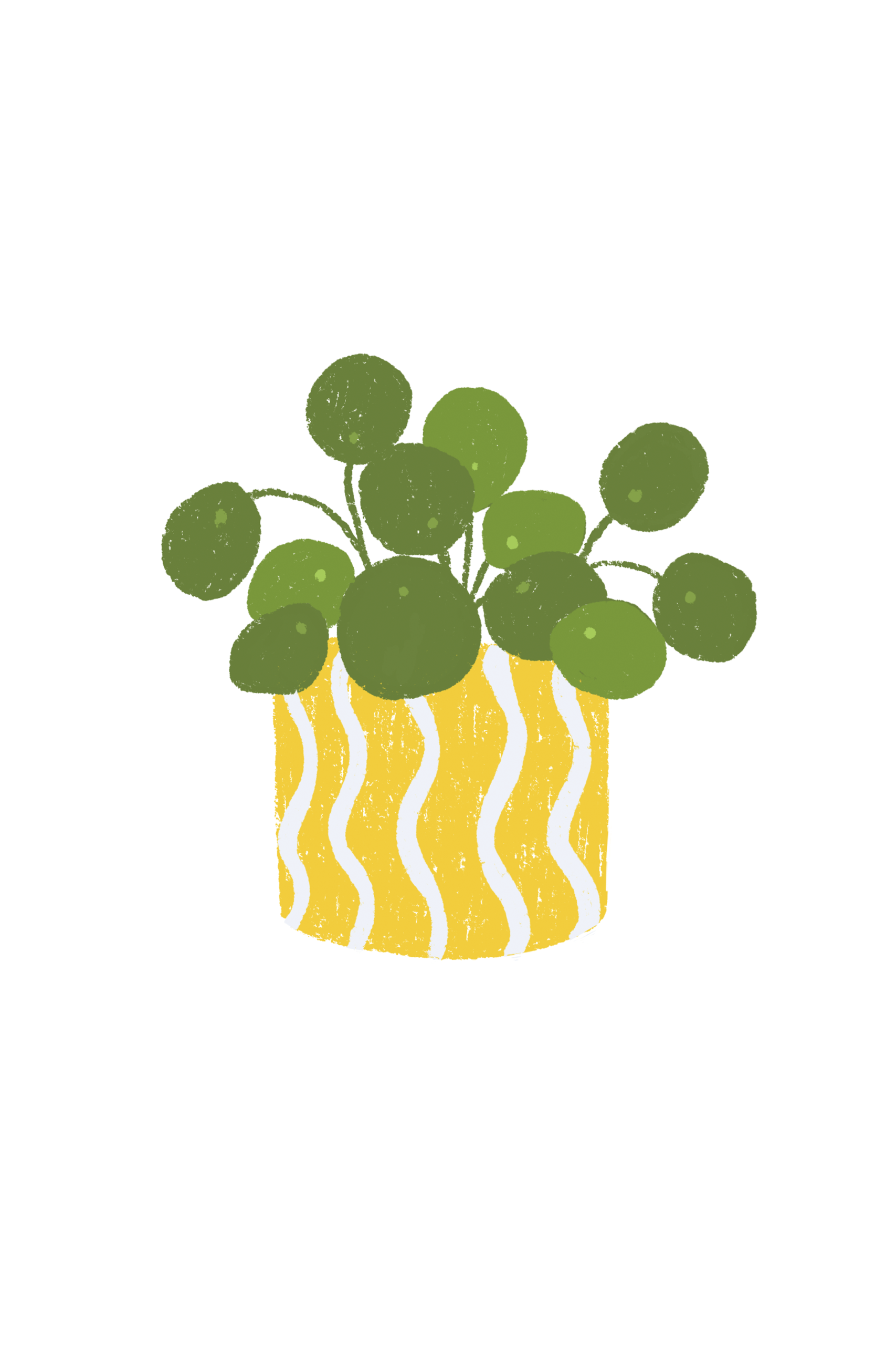 A6 plantas - Imagen 8