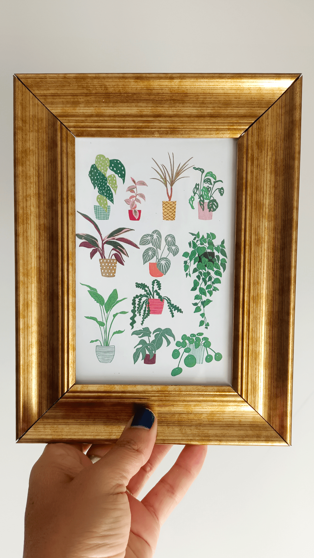 Ilustración "plant lover" - Imagen 2