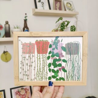 A6 plantas