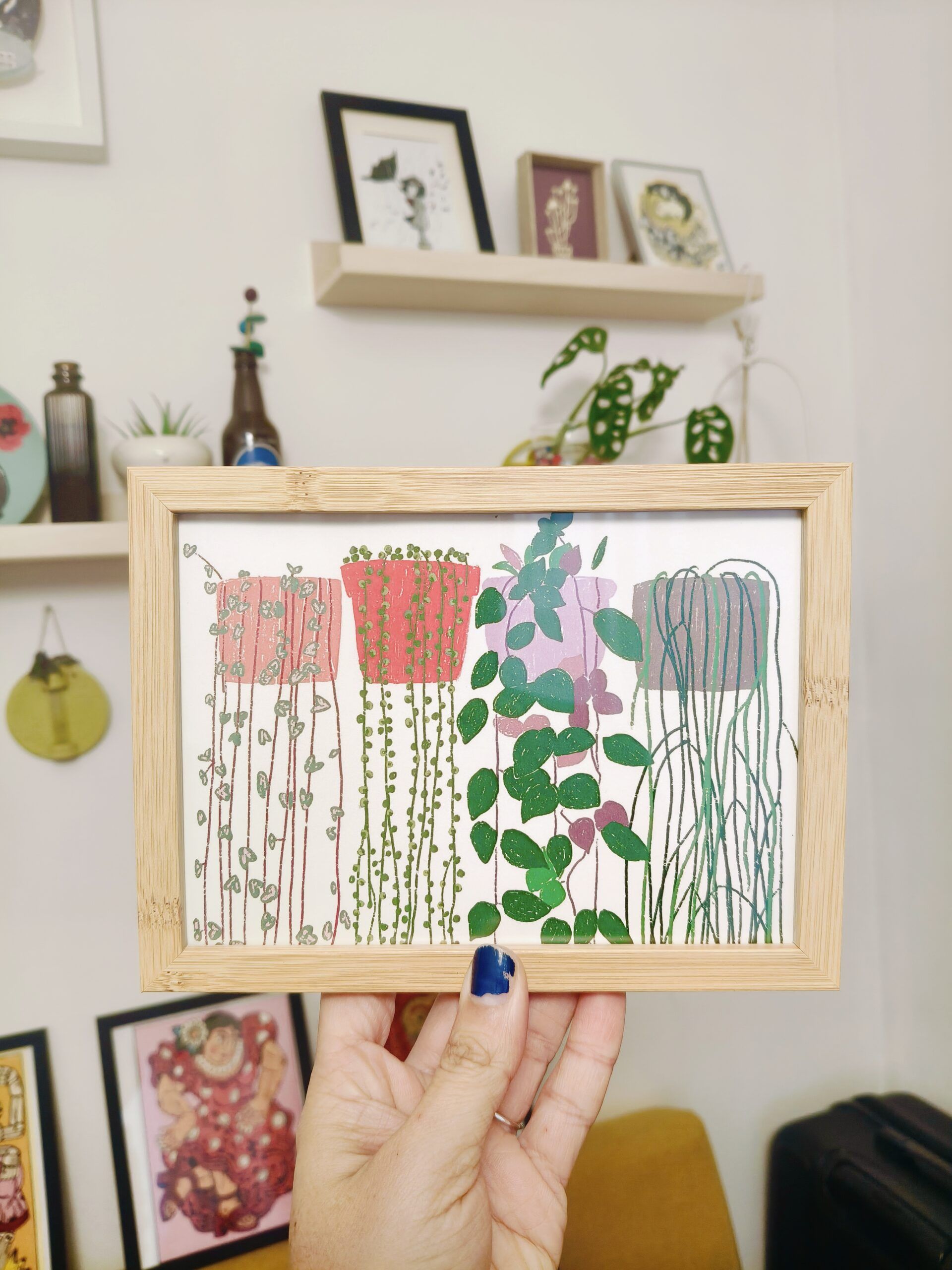 A6 plantas